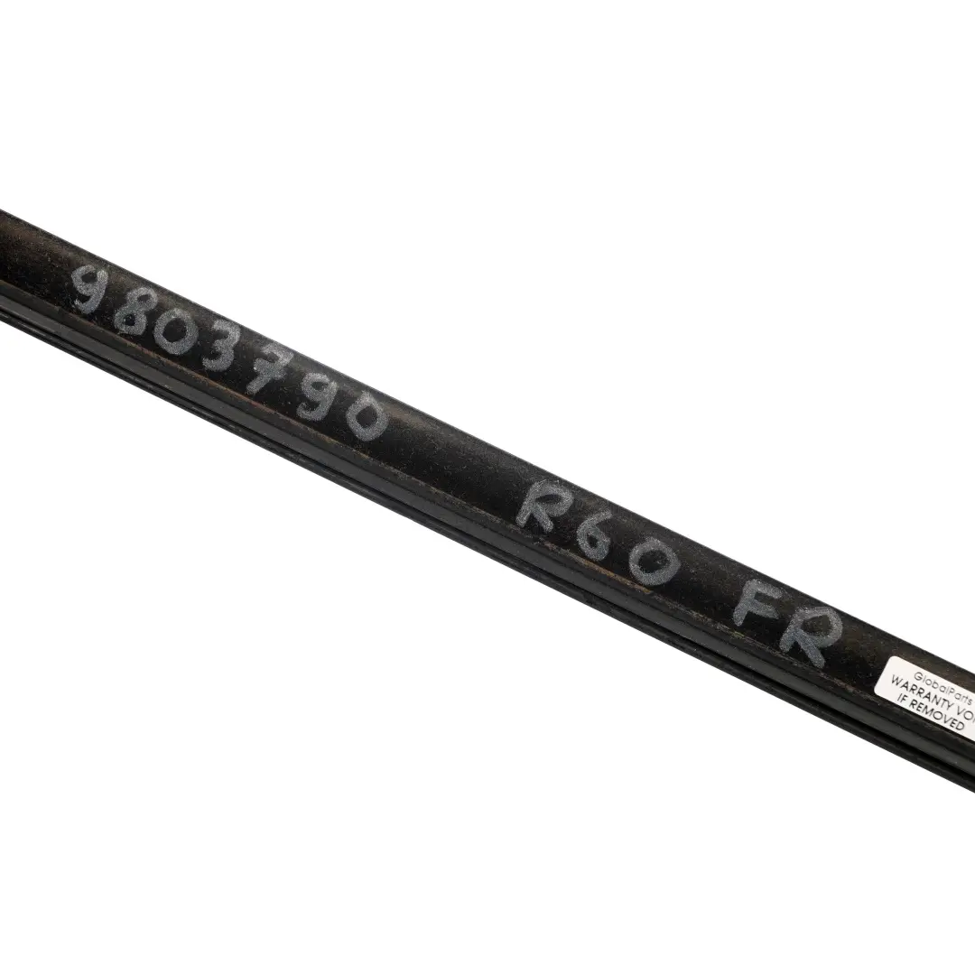  Door Channel Cover Mini Countryman R60 Exterior Strip Front Right O/S Chrome - SKU 9803790 - Part number 9803790