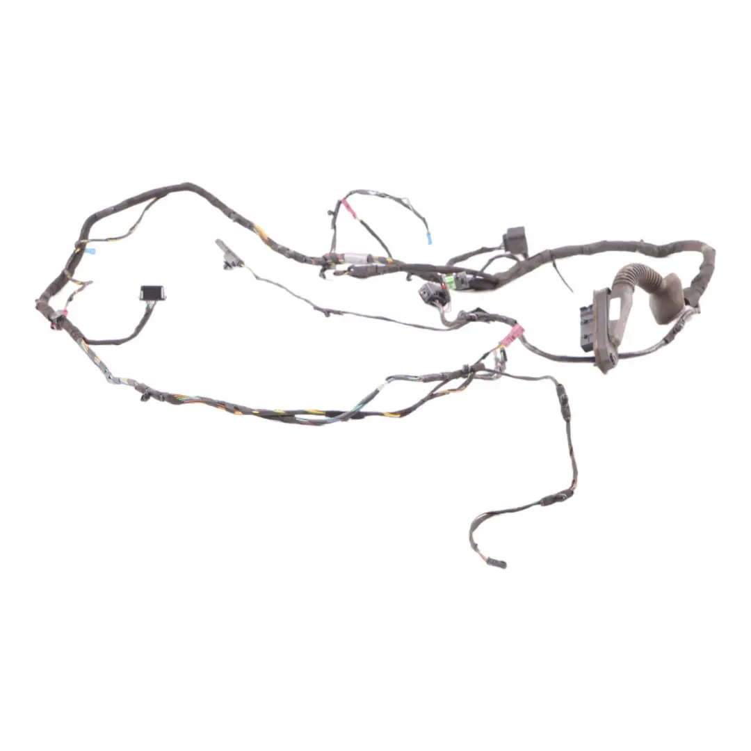 Mini Countryman R60 Vordere Tür Kabelbaum Kabelbaum Rechts - SKU 9805461 - Teilenummer 9805461