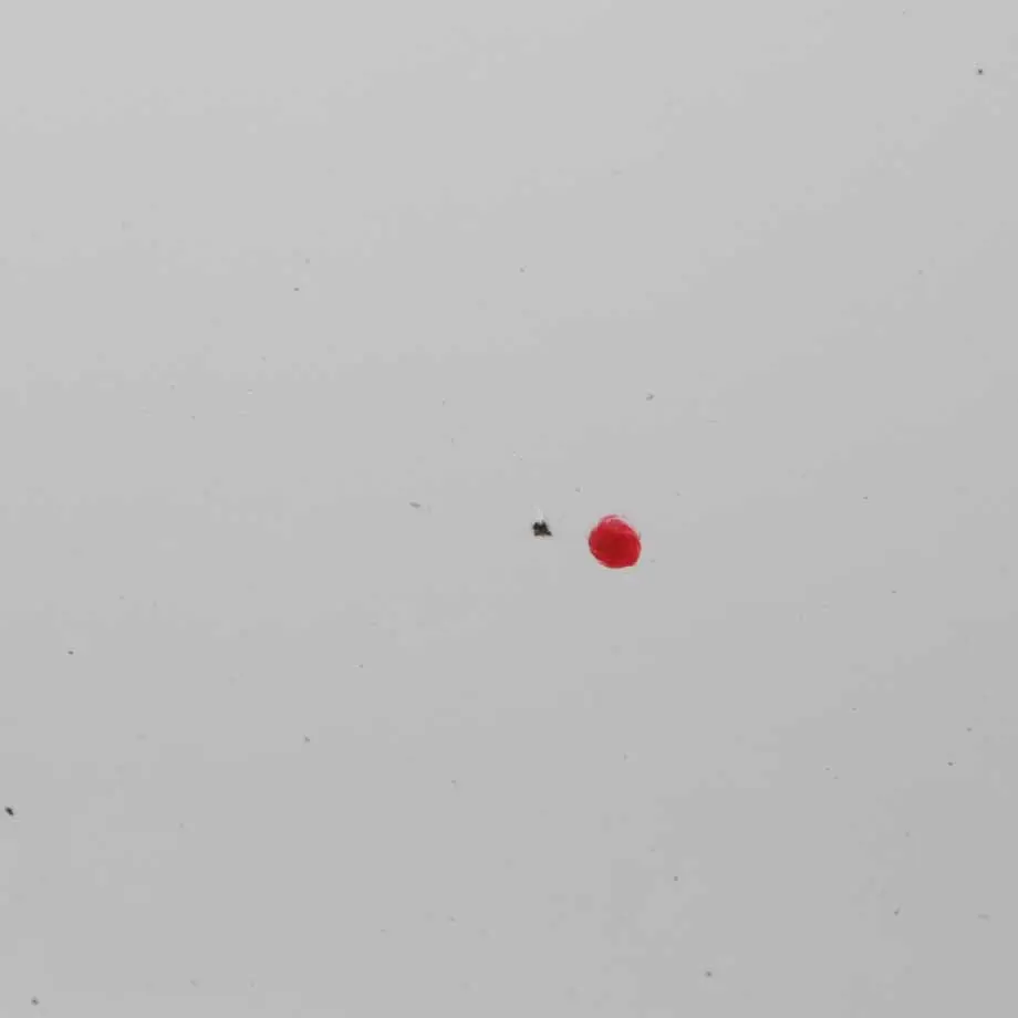 Mini Countryman R60 Drzwi Prawe Przednie Białe - SKU 9805928-LW - Numer Części 9805928