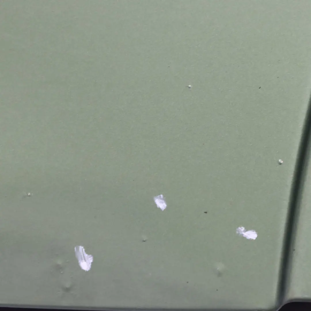 Porta posteriore Mini Countryman R60 sinistra Rivestimento Jungle Green - C15 per con numero di parte 9805929 Porta posteriore Mini Countryman R60 sinistra Rivestimento Jungle Green - C15 - SKU 9805929-JG - Numero di parte 9805929