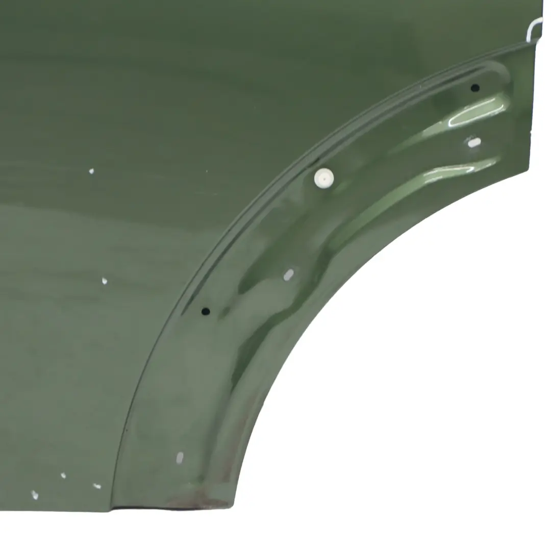  Tür hinten Mini Countryman R60 Links Verkleidung Jungle Green Metallic - C15 - SKU 9805929-JG - Teilenummer 9805929