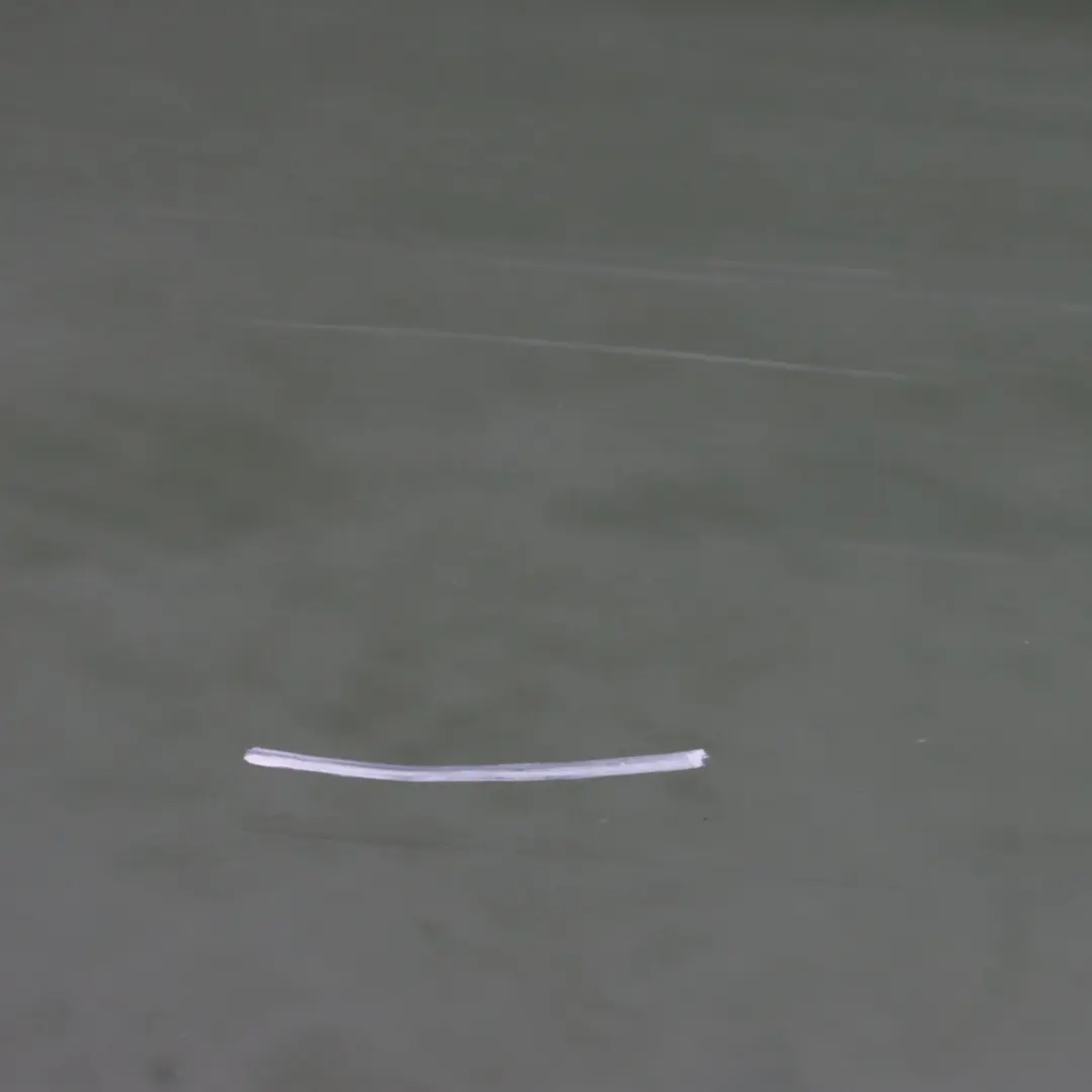 Puerta Trasera Mini Countryman R60 Izquierda Revestimiento Jungle Green - C15 para con número de pieza 9805929 Puerta Trasera Mini Countryman R60 Izquierda Revestimiento Jungle Green - C15 - SKU 9805929-JG - Número de pieza 9805929