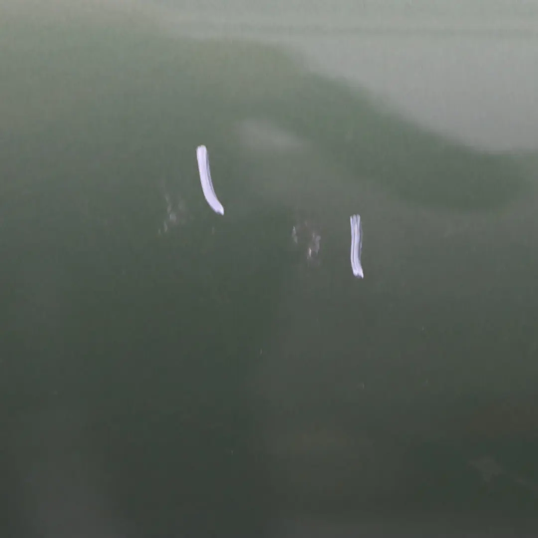 Porta posteriore Mini R60 Countryman destra Jungle Green Metallic - C15 per con numero di parte 9805930 Porta posteriore Mini R60 Countryman destra Jungle Green Metallic - C15 - SKU 9805930-JG - Numero di parte 9805930