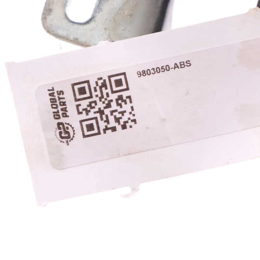 Mini Countryman R60 Charnière de coffre arrière droite Earl Grey - C2F 9803050 - SKU 9806461-ABS - Numéro de pièce 9806461