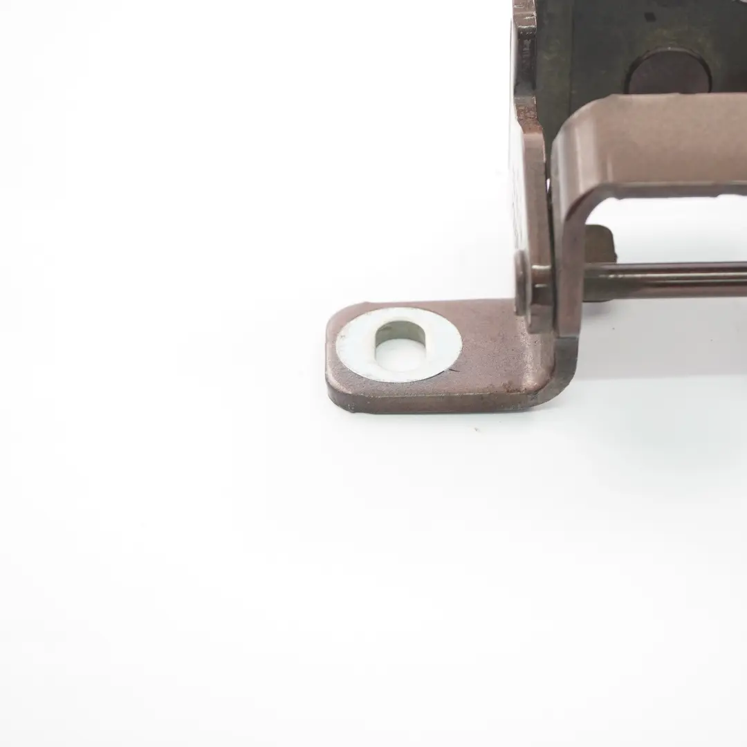 Stamm Scharnier hinten Boot rechts Brilliant Copper B60 9803050 für Mini R60 mit Teilenummer 9806461 Mini R60 Stamm Scharnier hinten Boot rechts Brilliant Copper B60 9803050 - SKU 9806461-BCM - Teilenummer 9806461