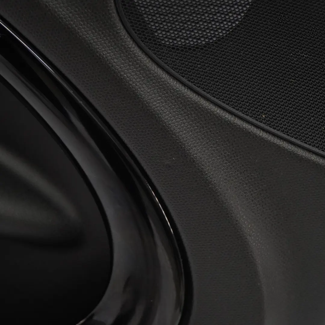 Mini Countryman R60 Türverkleidung Verkleidung Vorn Links Schwarz Carbon - SKU 9808605-1 - Teilenummer 9808605