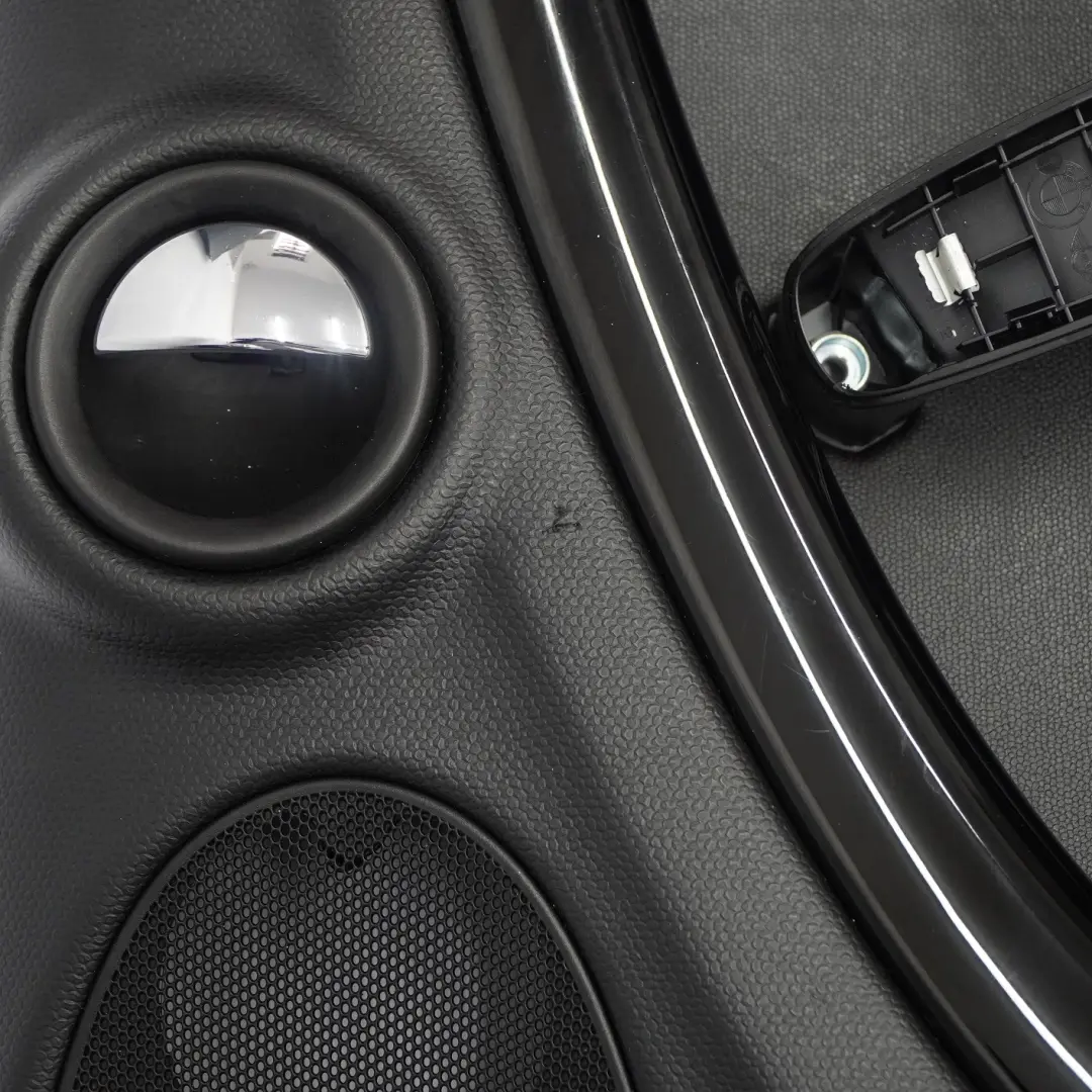 Türverkleidung Verkleidung Vorn Rechts Schwarz Carbon für Mini Countryman R60 mit Teilenummer 9808606 Mini Countryman R60 Türverkleidung Verkleidung Vorn Rechts Schwarz Carbon - SKU 9808606 - Teilenummer 9808606