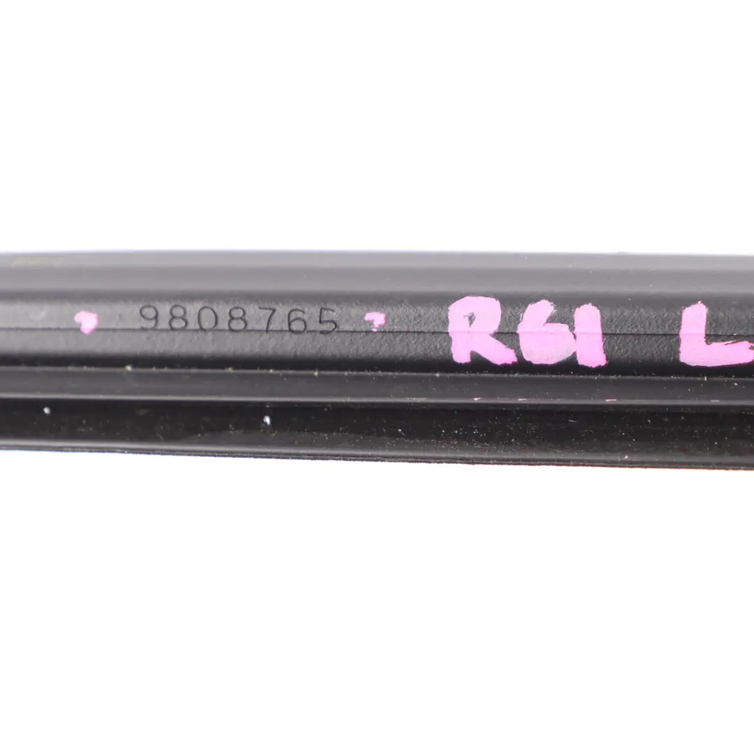 Mini Paceman R61 Striscia gomma interna anteriore sinistra copertura finestra - SKU 9808765 - Numero di parte 9808765