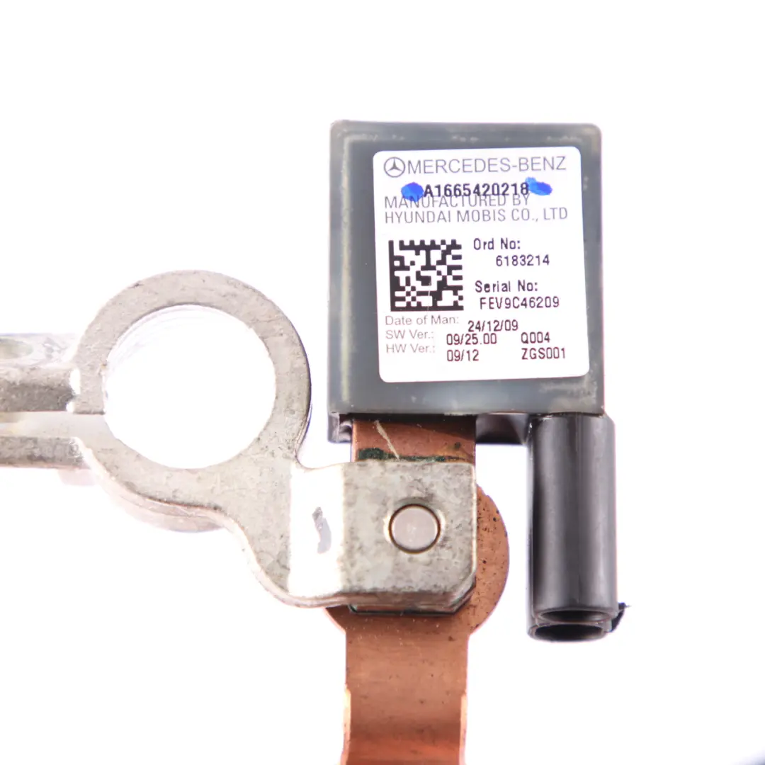  Câble de Batterie Mercedes W169 W204 W212 Harnais de Câblage Négatif - SKU A0009052702 - Numéro de pièce A0009052702