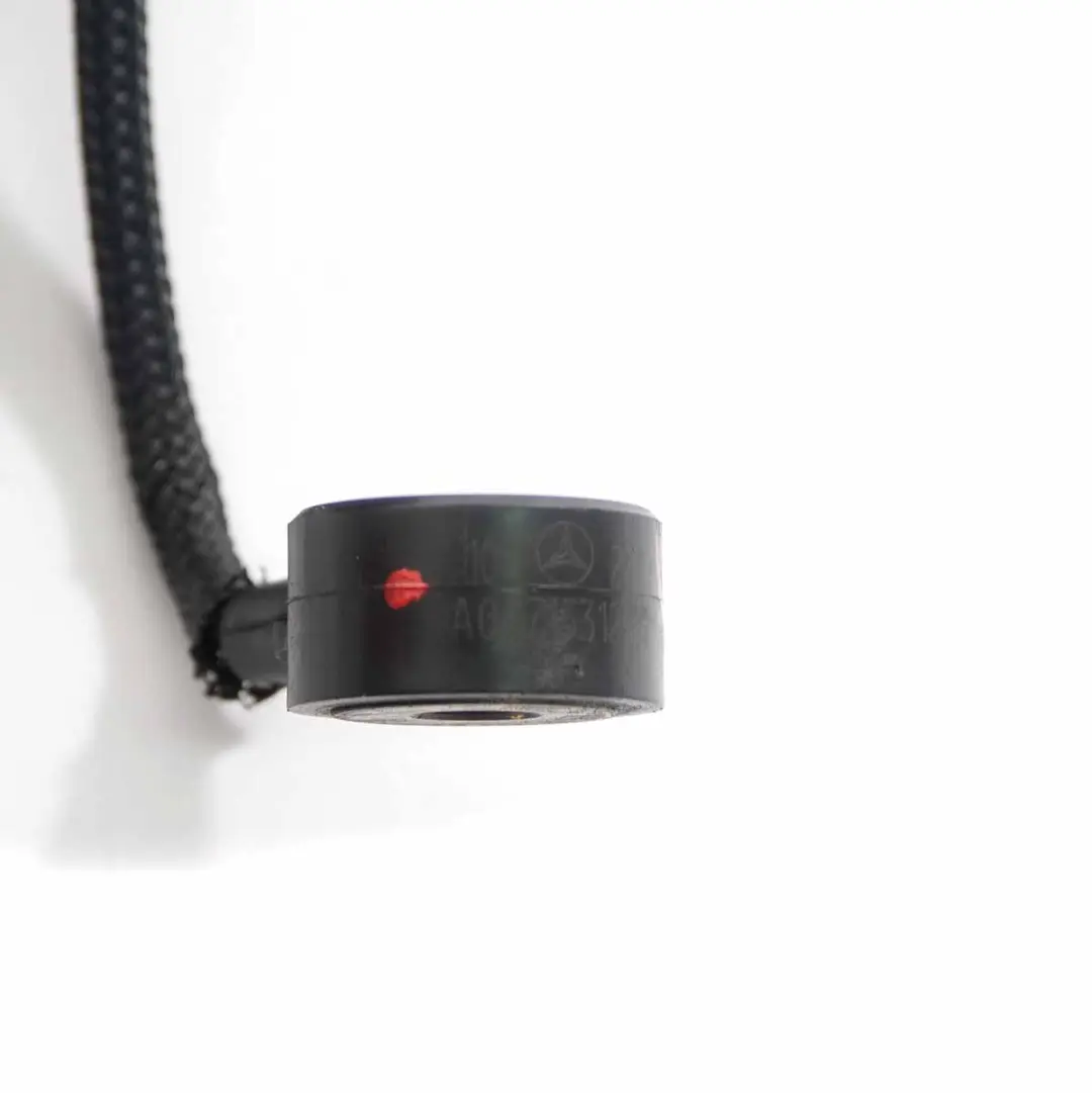 OM651 Motore Sensore di Battito per Mercedes W212 con numero di parte A0071531228 Mercedes W212 OM651 Motore Sensore di Battito - SKU A0071531228 - Numero di parte A0071531228