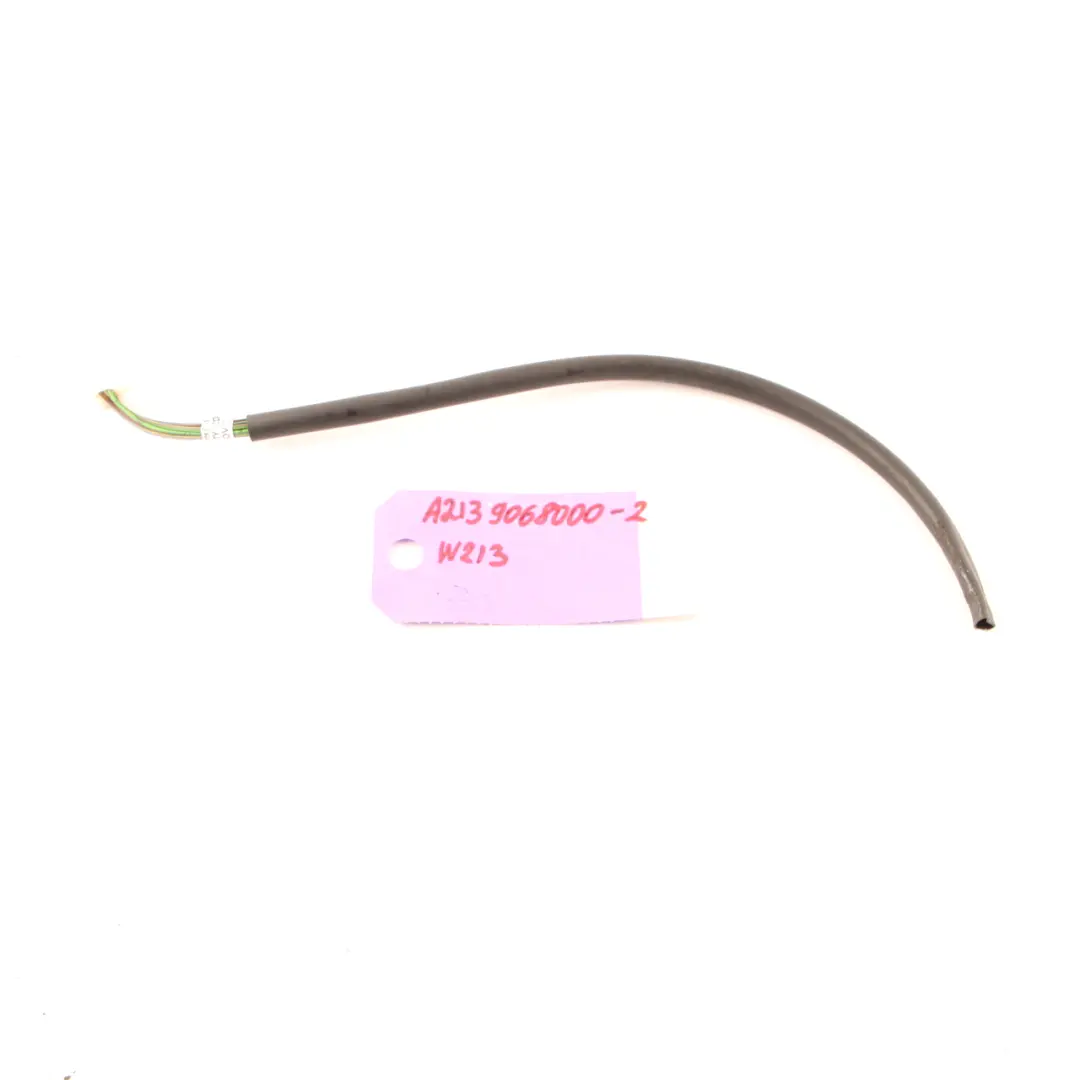 Mercedes W213 Lamp Tail Light Plug Rear Right O/S Socket Wiring - SKU A0255459526 - Part number A0255459526