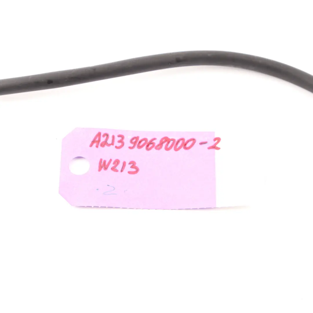 Mercedes W213 Lamp Tail Light Plug Rear Right O/S Socket Wiring - SKU A0255459526 - Part number A0255459526
