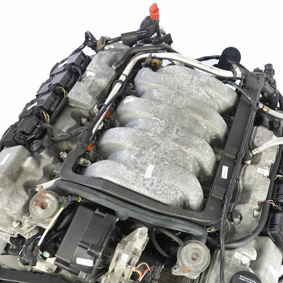 Desnudo 113.968 113968 306HP GARANTÍA para Mercedes C209 A209 W209 CLK 500 Motor con número de pieza A1130109902 Mercedes C209 A209 W209 CLK 500 Motor Desnudo 113.968 113968 306HP GARANTÍA - SKU A1130109902 - Número de pieza A1130109902