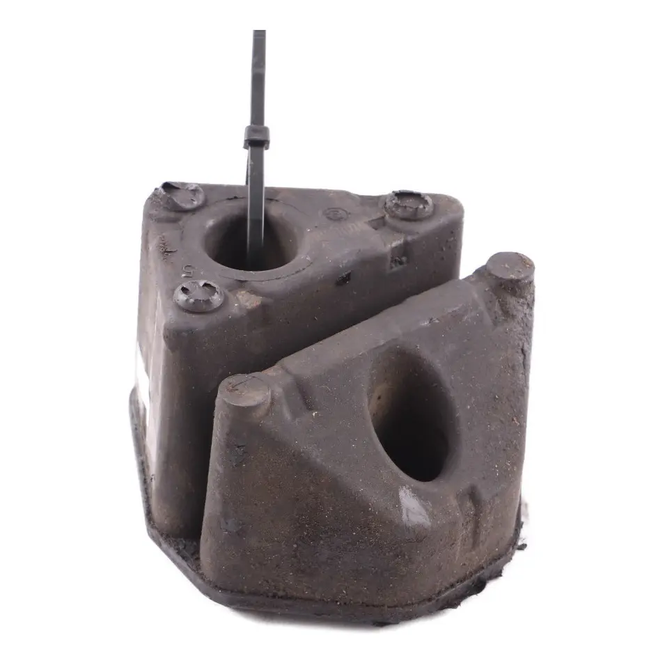  Amortiguador Vibraciones BMW F20 F21 F30 F31 F32 LCI Soporte Diferencial Trasero - SKU A1643300273 - Número de pieza A1643300273