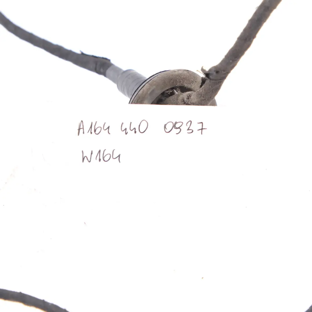 PDC Cableado Sensor De Aparcamiento Arnés Loom para Mercedes ML W164 con número de pieza A1644400937 Mercedes ML W164 PDC Cableado Sensor De Aparcamiento Arnés Loom - SKU A1644400937 - Número de pieza A1644400937