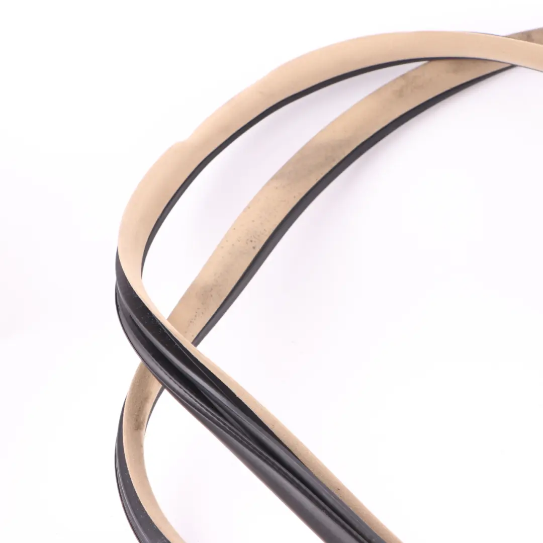 Mercedes W164 Door Seal Gasket Front Left Right N/O/S Buckskin Beige - SKU A1646900198-1 - Part number A1646900198