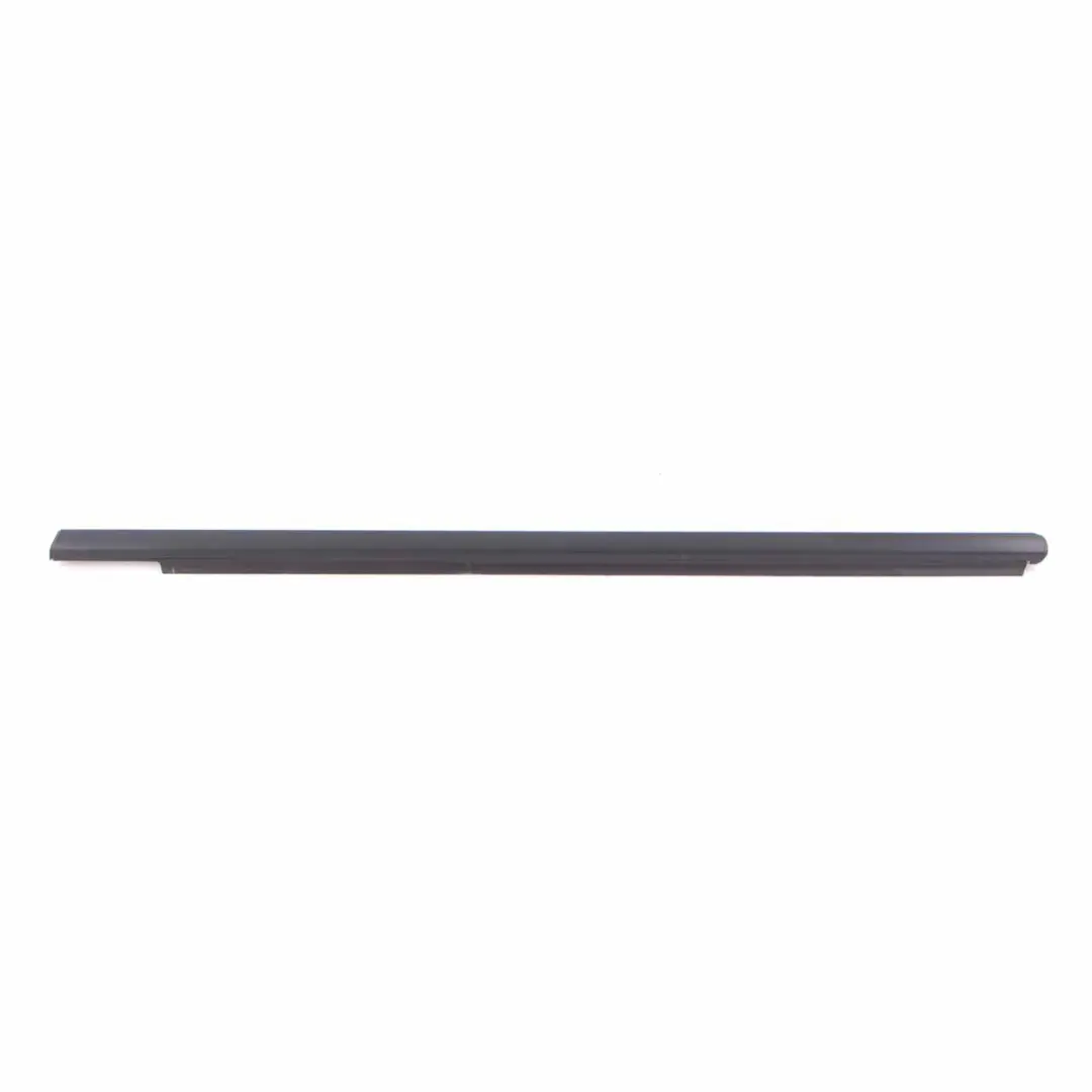 Mercedes ML W164 Window Strip Door Trim Molding Front Left N/S - SKU A1646901980 - Part number A1646901980