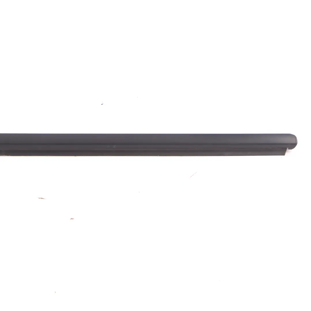 Mercedes ML W164 Window Strip Door Trim Molding Front Left N/S - SKU A1646901980 - Part number A1646901980