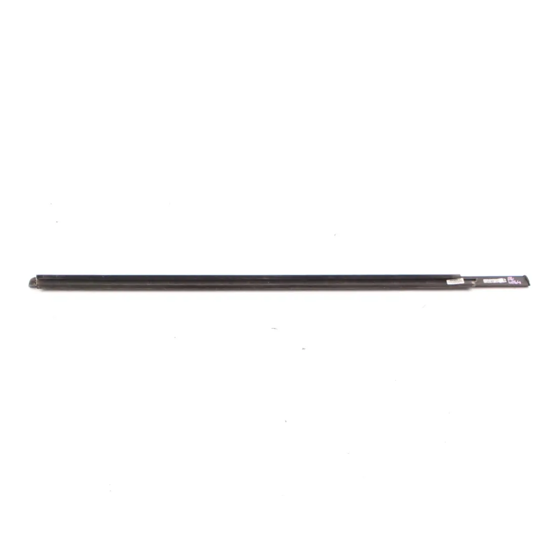 Mercedes ML W164 Window Strip Door Trim Molding Front Left N/S - SKU A1646901980 - Part number A1646901980