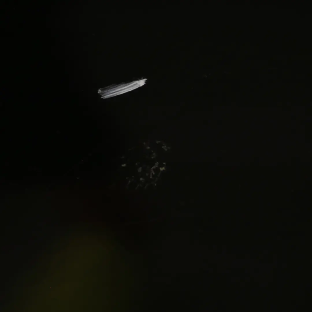 Drzwi Lewy Tył Obsidian Black 197 do Mercedes ML W164 o numerze A1647300105 Mercedes ML W164 Drzwi Lewy Tył Obsidian Black 197 - SKU A1647300705-OB - Numer Części A1647300105