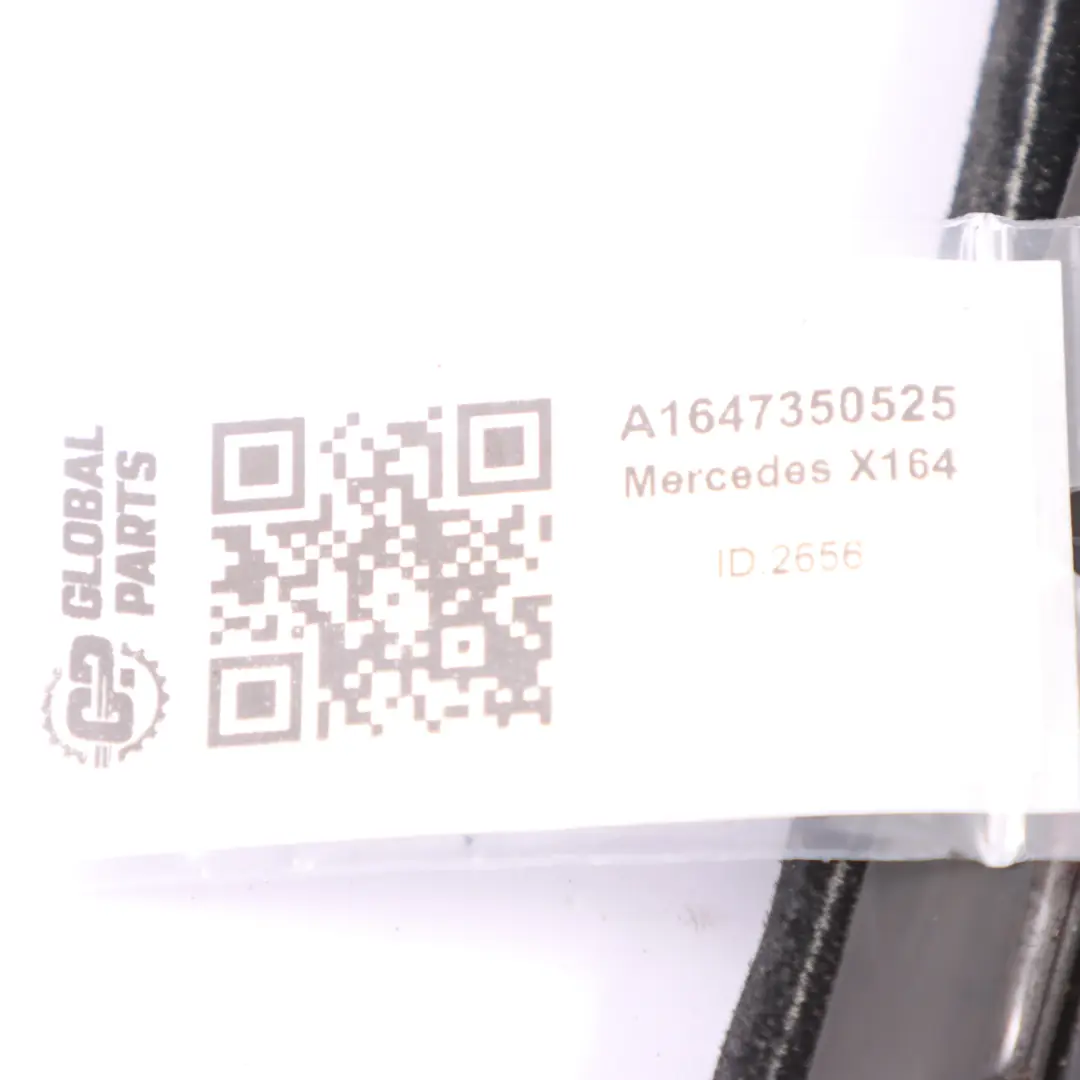 Fenster dichtung Tür hinten links Rahmen für Mercedes GL X164 mit Teilenummer A1647350525 Mercedes GL X164 Fenster dichtung Tür hinten links Rahmen - SKU A1647350525 - Teilenummer A1647350525