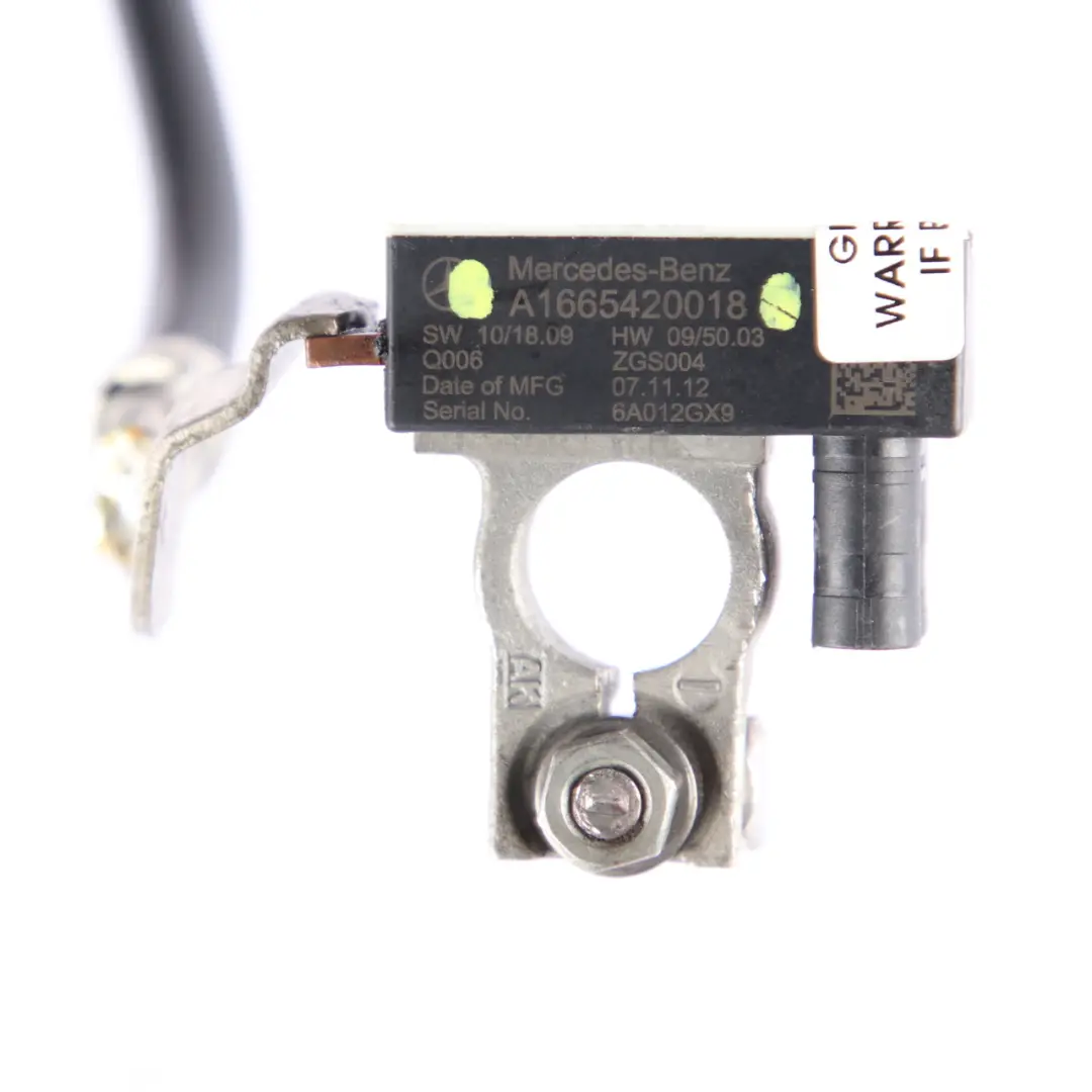 Mercedes W176 Cable de la batería Negativo Mazo de cables de control - SKU A1665420018 - Número de pieza A1665420018