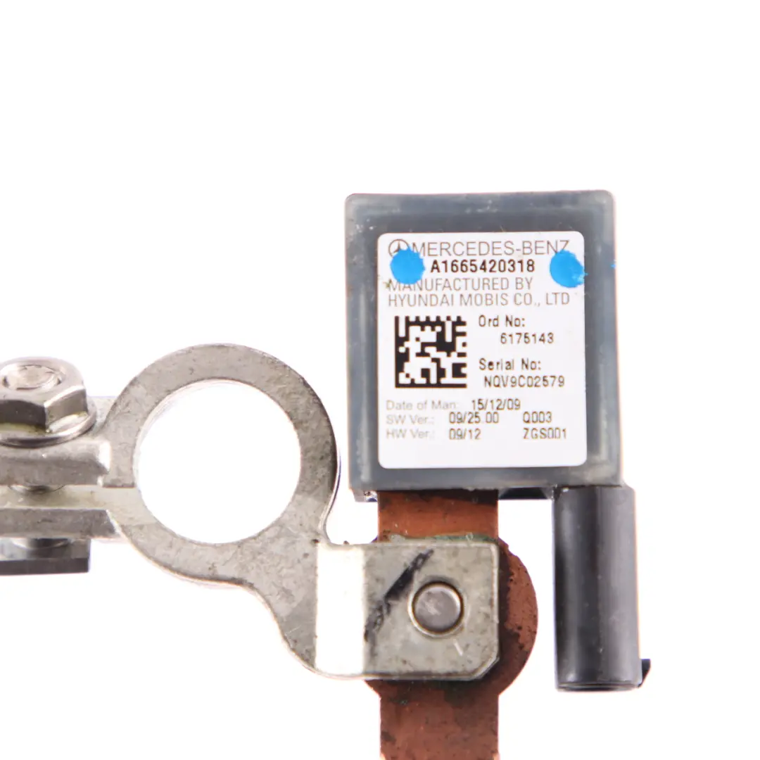  Batteriekabel Mercedes W169 W211 Minusleitung Kabelbaum - SKU A1665420318 - Teilenummer A1665420318
