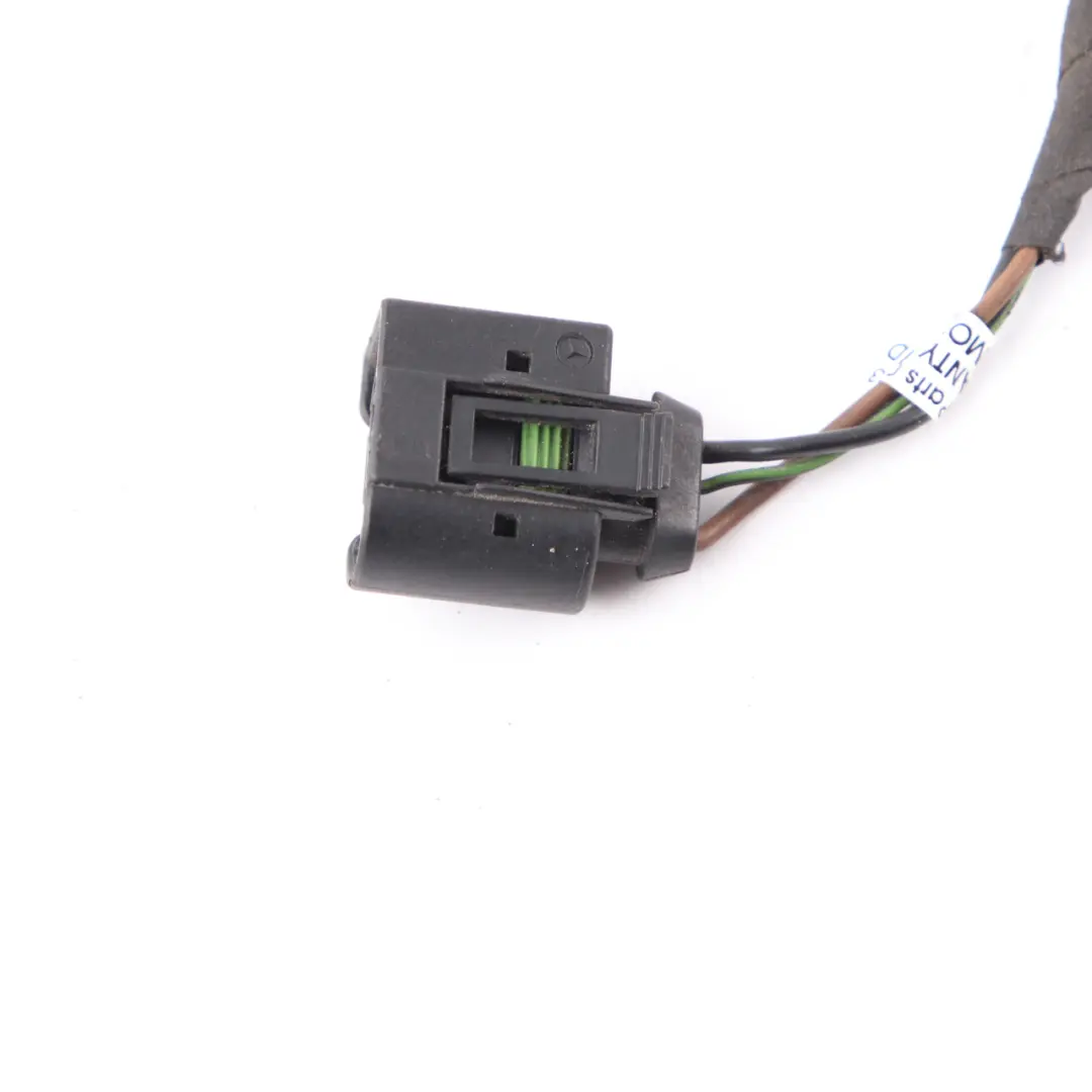 Lamp Plug Mercedes W219 Front Left N/S Light Socket Wiring to with Part number A1685452528 Lamp Plug Mercedes W219 Front Left N/S Light Socket Wiring - SKU A1685452528 - Part number A1685452528