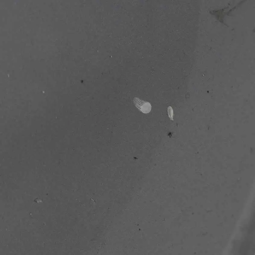 Front Bumper Trim Panel Polar Silver Metallic - 761 to Mercedes W168 with Part number A1688853025 Mercedes W168 Front Bumper Trim Panel Polar Silver Metallic - 761 - SKU A1688853025-PLS - Part number A1688853025