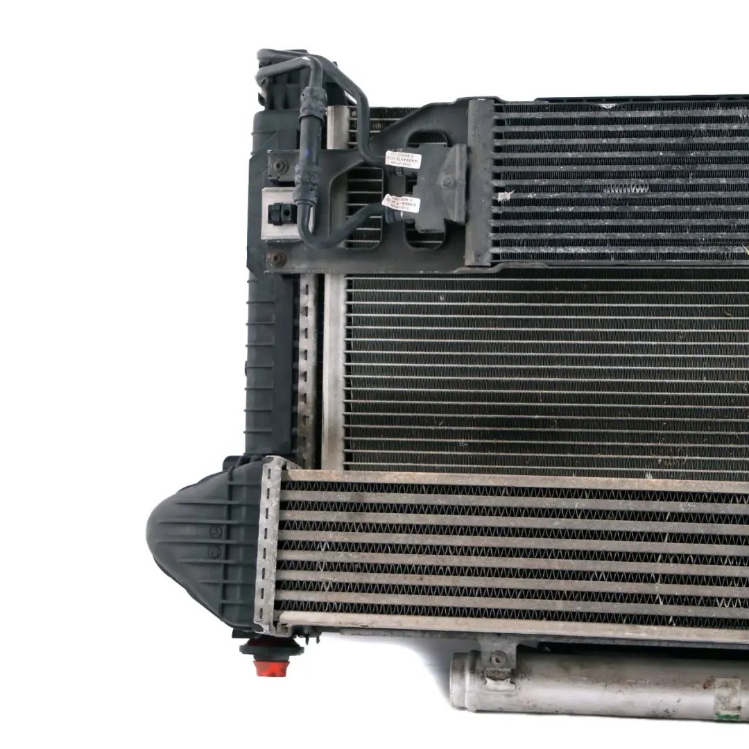  Mercedes-Benz W169 A180 CDI Complete Set Engine Radiator Fan Pack with Housing - SKU A1695004204 - Part number A1695004204