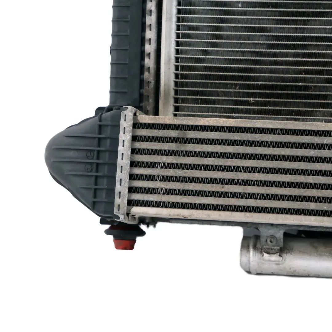  Mercedes-Benz W169 A180 CDI Complete Set Engine Radiator Fan Pack with Housing - SKU A1695004204 - Part number A1695004204