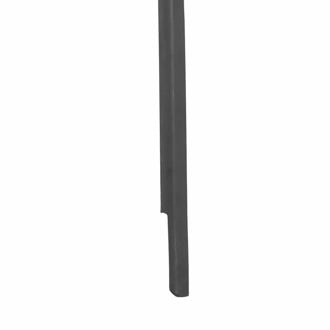 Mercedes W169 Coupe Door Strip Front Right O/S Seal Trim Rail Black - SKU A1697252865 - Part number A1697252865