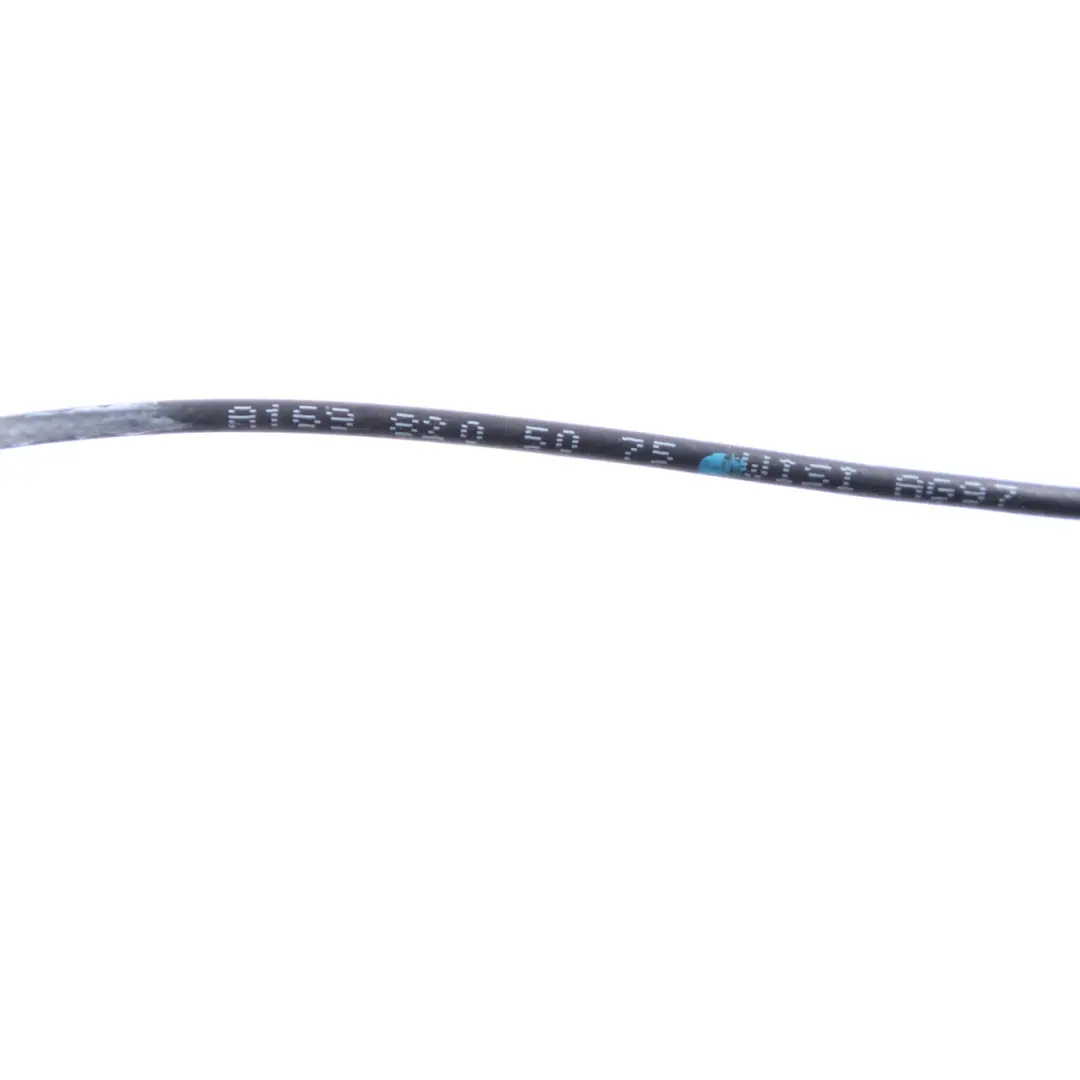 Cavo Antenna Aerial Bluetooth Cablaggio per Mercedes W169 W245 con numero di parte A1698205075 Mercedes W169 W245 Cavo Antenna Aerial Bluetooth Cablaggio - SKU A1698205075 - Numero di parte A1698205075