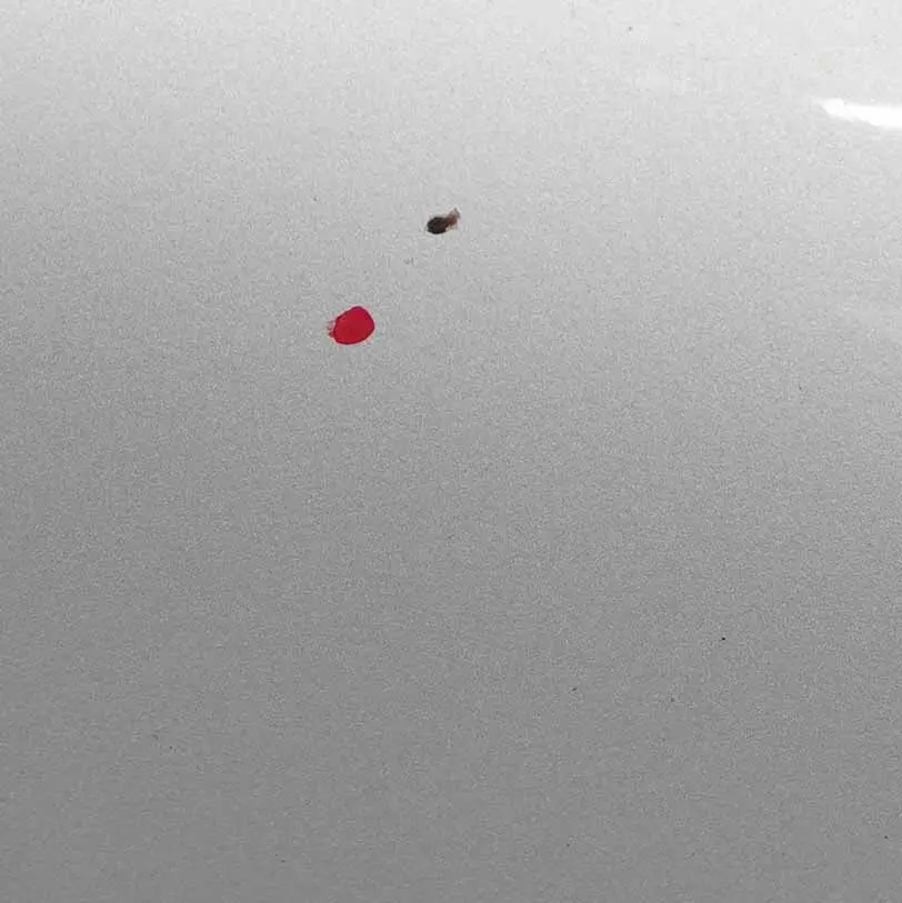 Mercedes W169 Maska Silnika Polar Silver - 761 - SKU A1698800057-PLS1 - Numer Części A1698800057