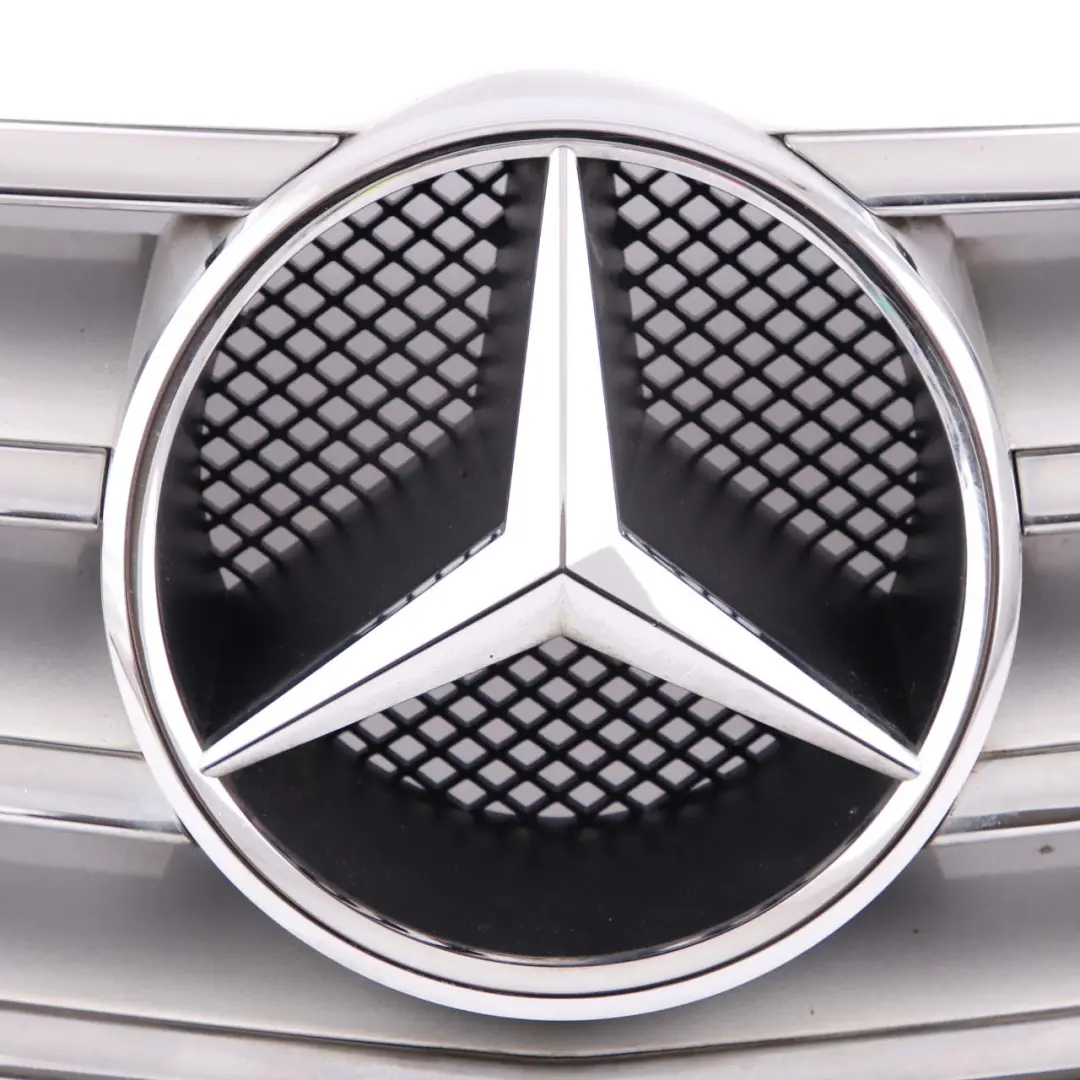 Mercedes W245 Front Motor Haube Kühlergrill Träger Zierleiste Silber Chrom - SKU A1698800783-1 - Teilenummer A1698800783