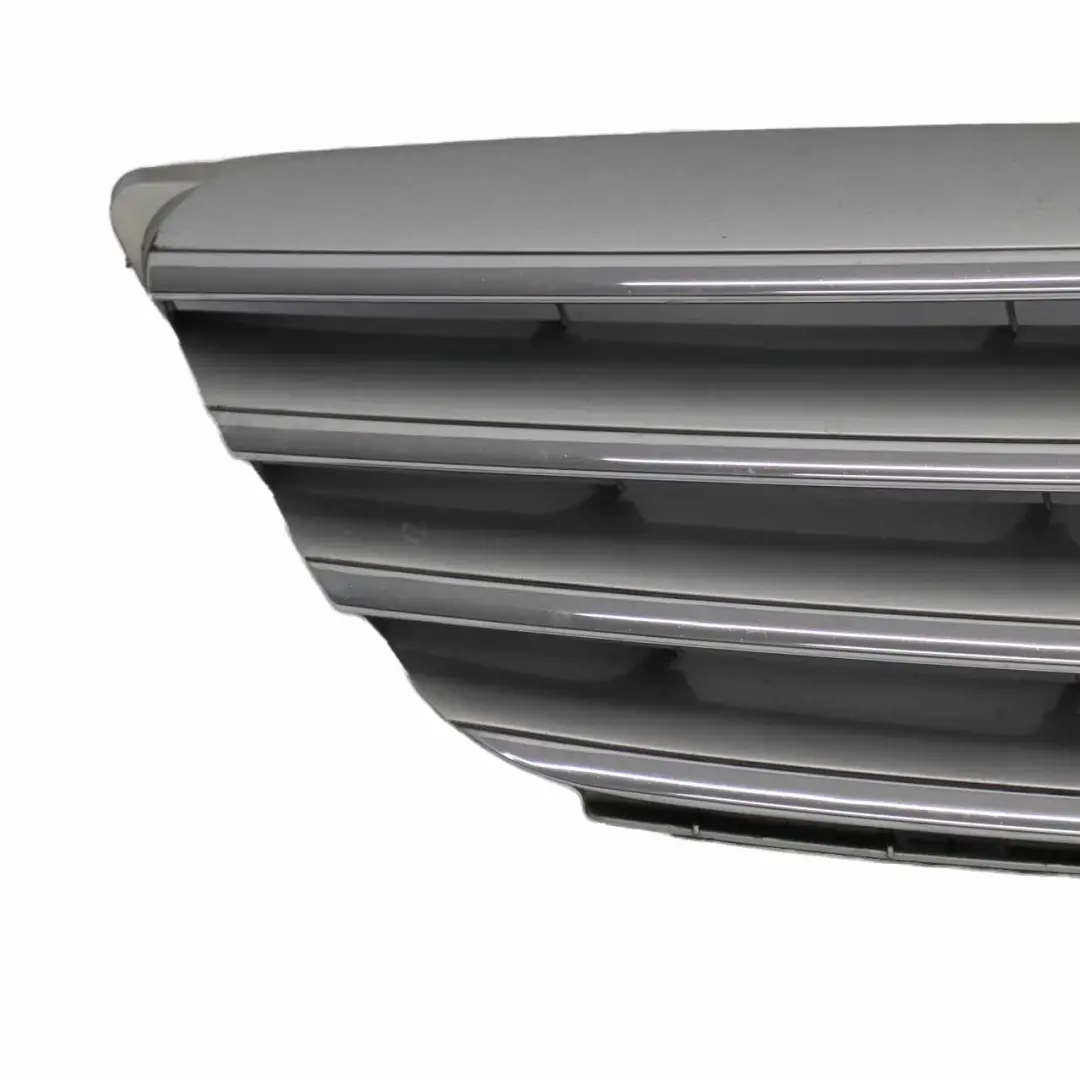 Mercedes W245 Capó Delantero Capó Radiador Rejilla Viga Plata Cromo - SKU A1698800783 - Número de pieza A1698800783