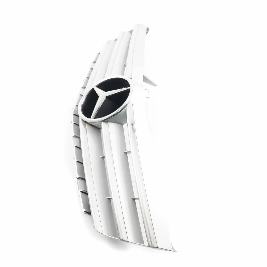  Mercedes-Benz W169 Cofano anteriore Griglia radiatore - SKU A1698801783 - Numero di parte A1698801783