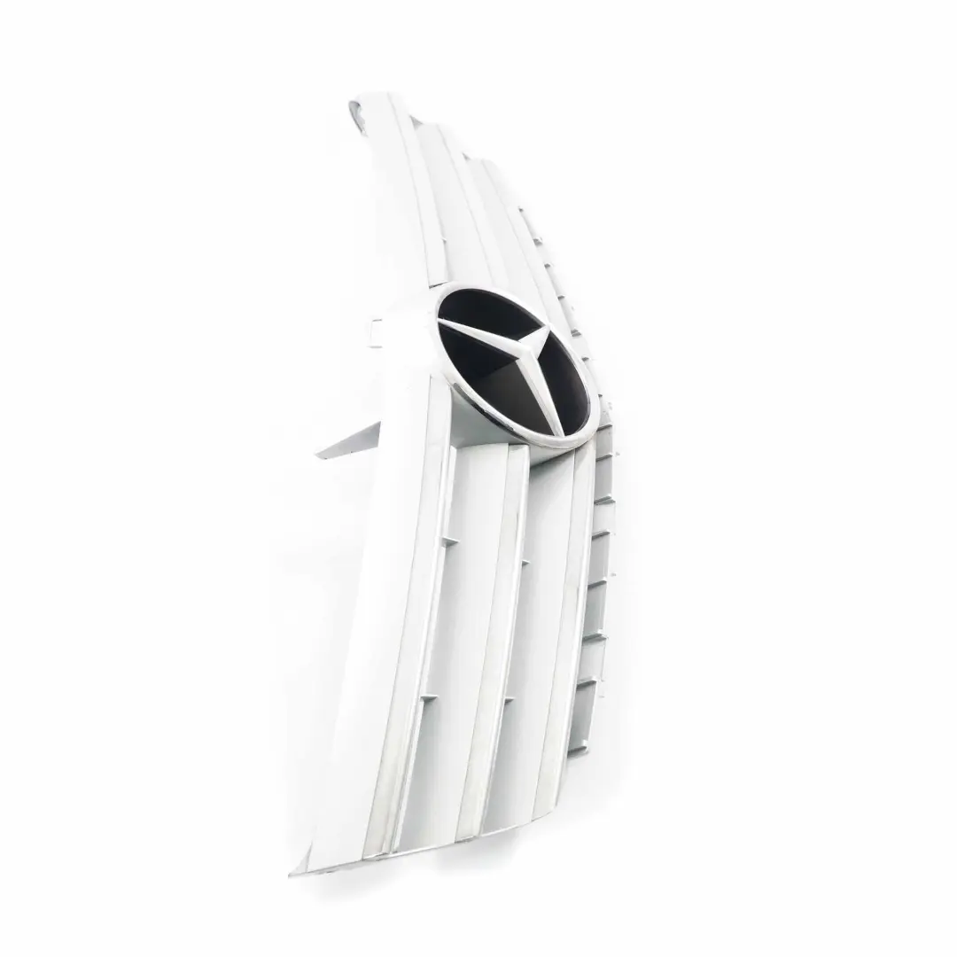  Mercedes-Benz W169 Cofano anteriore Griglia radiatore - SKU A1698801783 - Numero di parte A1698801783