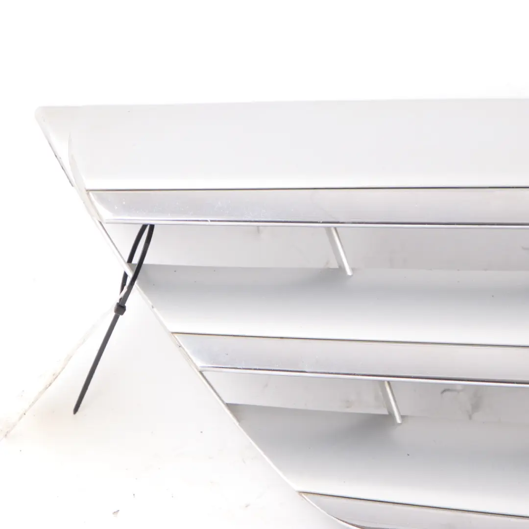 Mercedes W245 Front Hood Bonnet Radiator Grille Beam Trim Panel Silver Chrome - SKU A1698802183 - Part number A1698802183