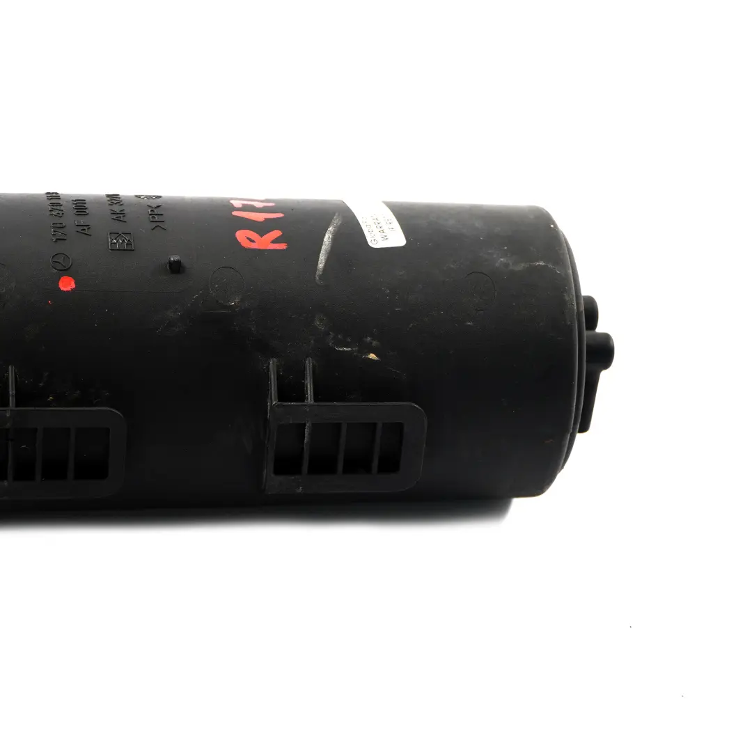 Mercedes R171 SLK benzina Filtro carbone attivo carburante - SKU A1704701159 - Numero di parte A1704701159