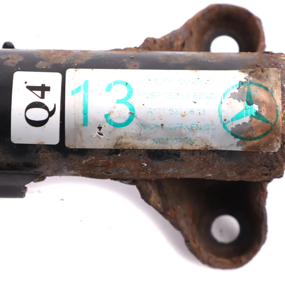 Strut Mercedes R171 Front Left Right Suspension Shock Absorber Set to Spring with Part number A1713200613 Spring Strut Mercedes R171 Front Left Right Suspension Shock Absorber Set - SKU A1713200613-3 - Part number A1713200613
