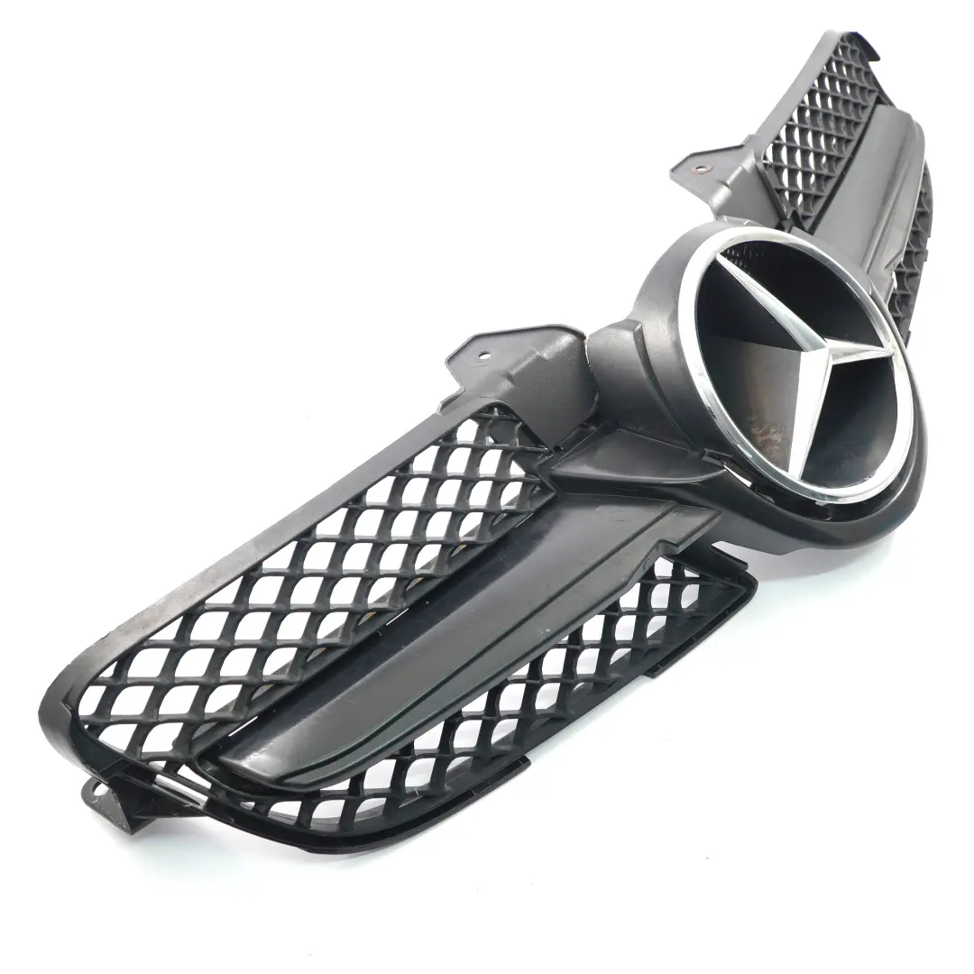 Mercedes SLK R171 Vorne Kühlergrill Haube Heizkörper Abdeckung - SKU A1718880260 - Teilenummer A1718880260