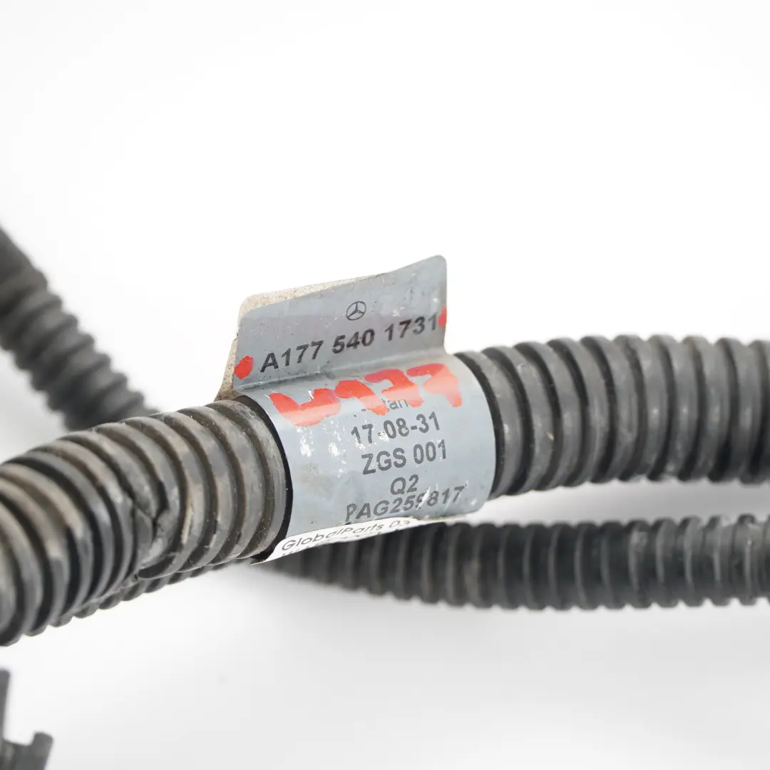 Mercedes W177 Mazo de cables Batería Motor arranque Alternador Loom - SKU A1775401731 - Número de pieza A1775401731