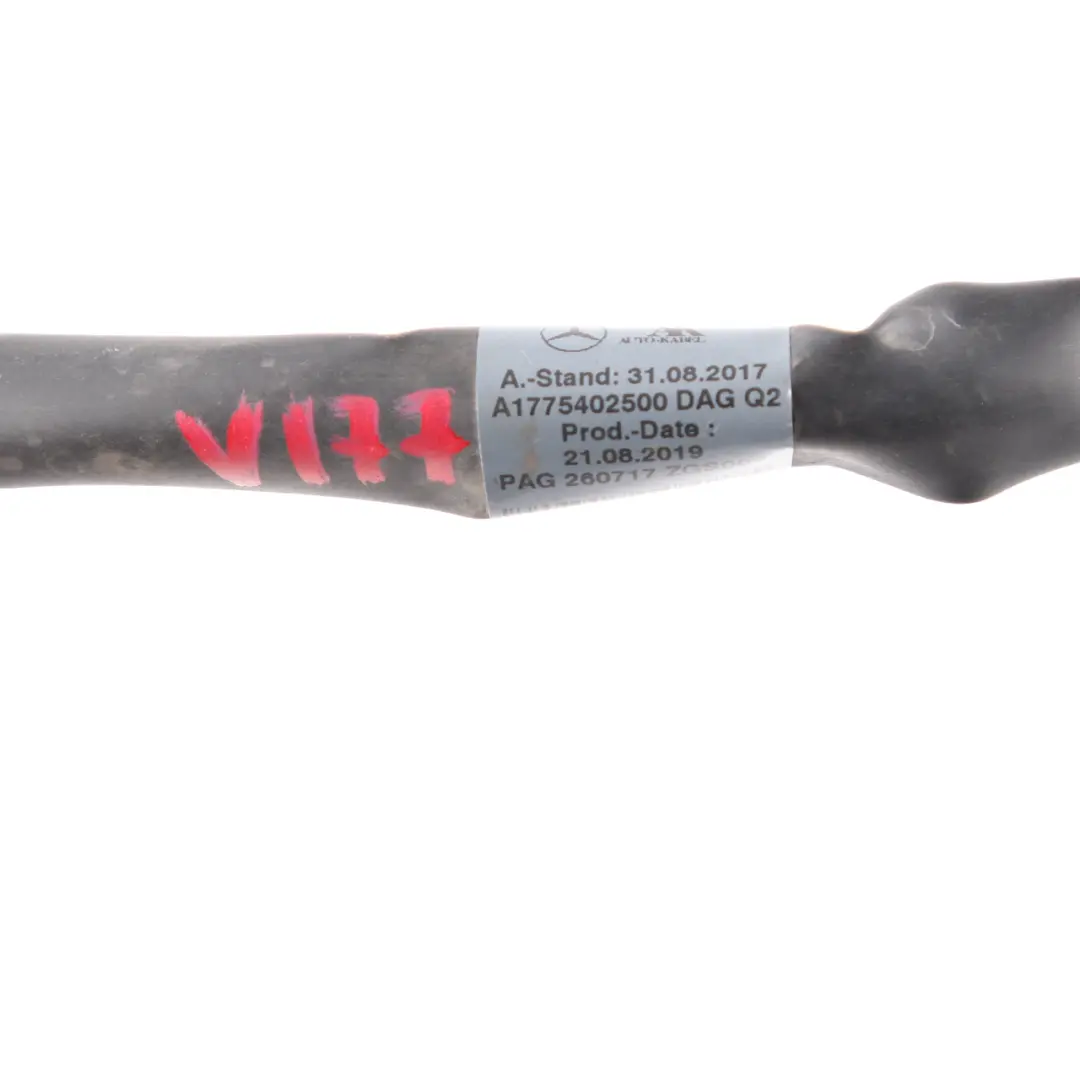 Mercedes W177 W247 Cavo batteria Cavo negativo Terminale Harness - SKU A1775402500 - Numero di parte A1775402500