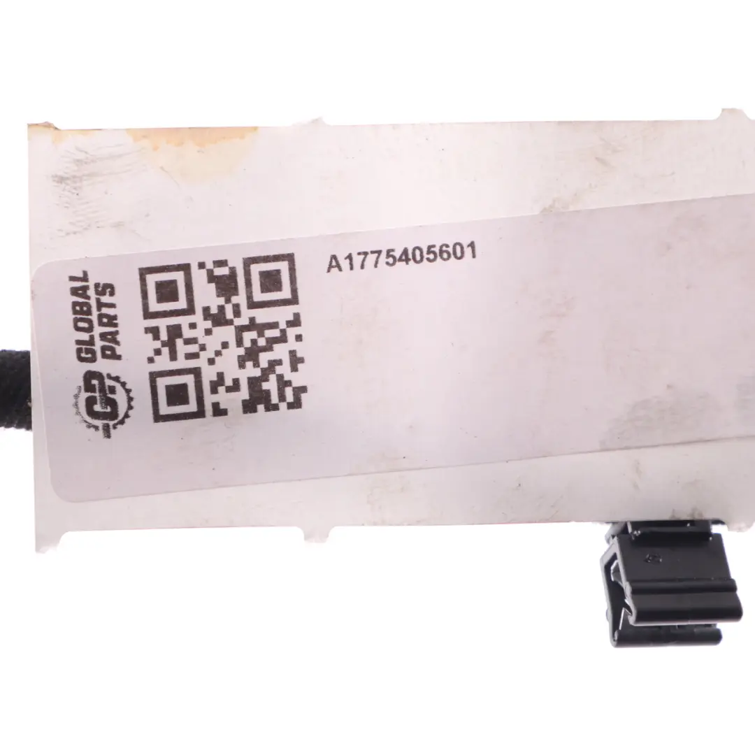 Door Wiring Mercedes W177 W247 Front Left Right N/O/S Cable Harness to with Part number A1775405601 Door Wiring Mercedes W177 W247 Front Left Right N/O/S Cable Harness - SKU A1775405601 - Part number A1775405601