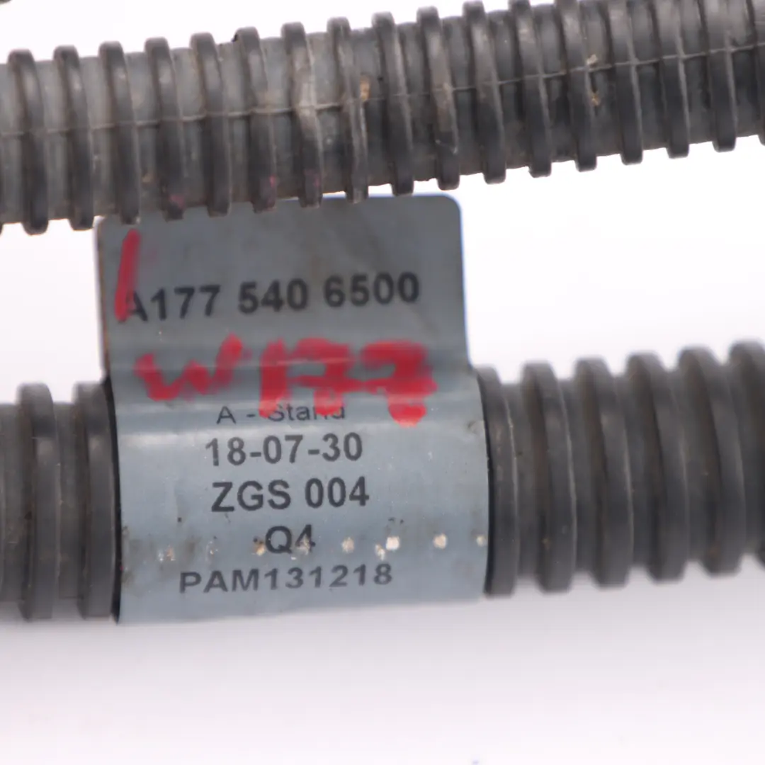 faisceau électrique démarreur et alternateur triphasé pour Mercedes W177 à propos du numéro de pièce A1775406500 Mercedes W177 faisceau électrique démarreur et alternateur triphasé - SKU A1775406500 - Numéro de pièce A1775406500