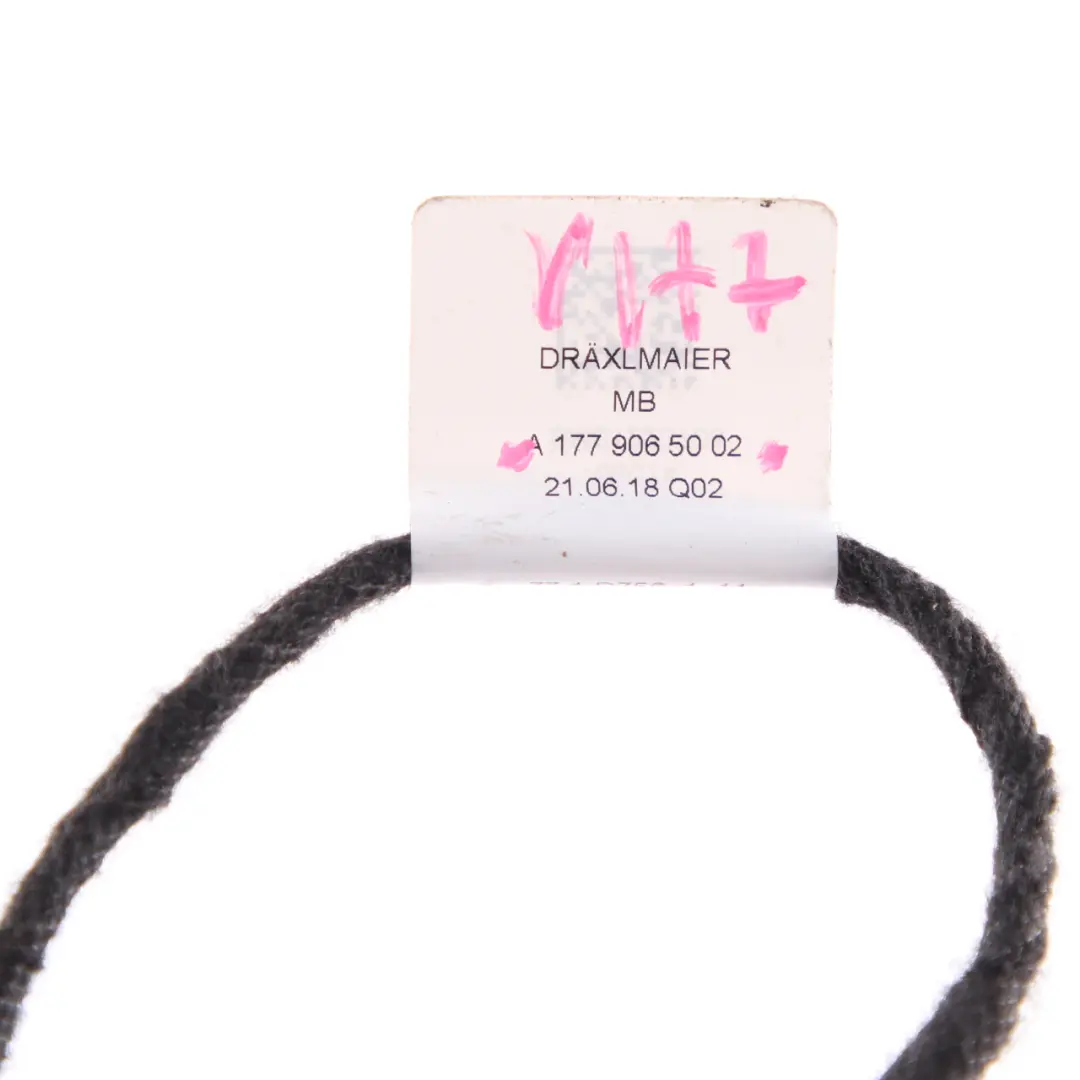 Mercedes W177 W247 Cableado Luz Interior Lámpara Consola Central - SKU A1779065002 - Número de pieza A1779065002