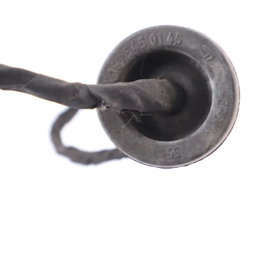 Câblage Prise du Feu Arrière Gauche A0005404204 pour Mercedes W177 à propos du numéro de pièce A1779068302 Mercedes W177 Câblage Prise du Feu Arrière Gauche A0005404204 - SKU A1779068302-1 - Numéro de pièce A1779068302