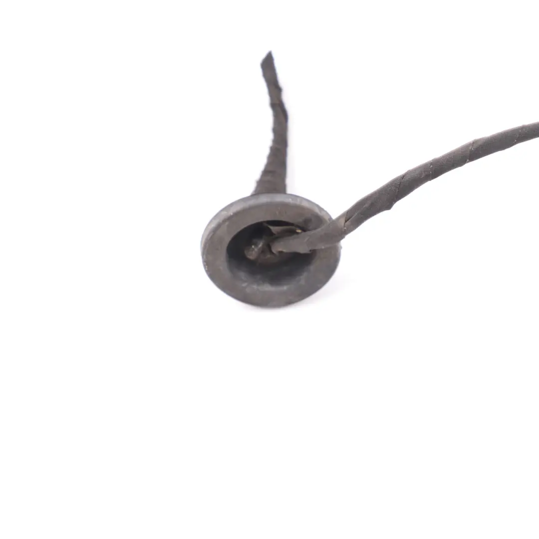 Lamp Right O/S Tail Light Plug Socket Wiring A0005404204 to Mercedes W177 Rear with Part number A1779068402 Mercedes W177 Rear Lamp Right O/S Tail Light Plug Socket Wiring A0005404204 - SKU A1779068402-1 - Part number A1779068402