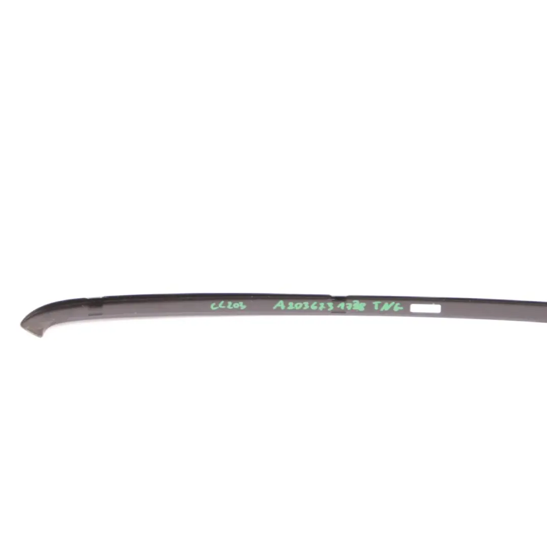 Mercedes CL203 Window Trim Strip Cover Rear Left N/S Tenoritgrau Grey 755 - SKU A2036731738-TNG - Part number A2036731738